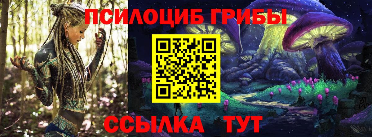 Галлюциногенные грибы прущие грибы Чебаркуль